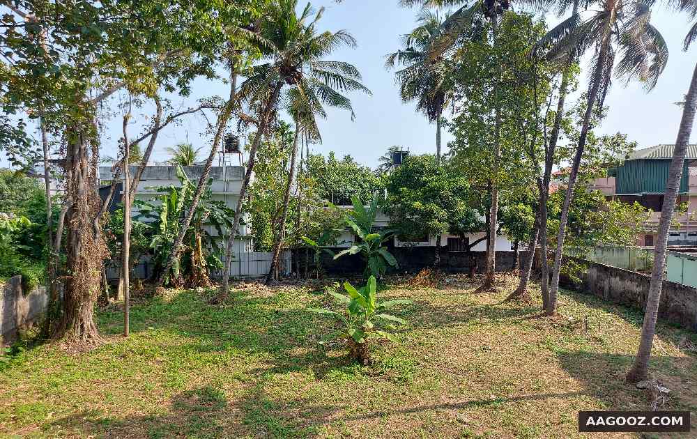 Land for sale Kochi Palarivattom from direct owner in Kerala