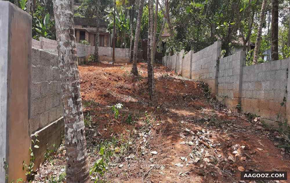 Plot for sale Balaramapuram by owner in Kerala