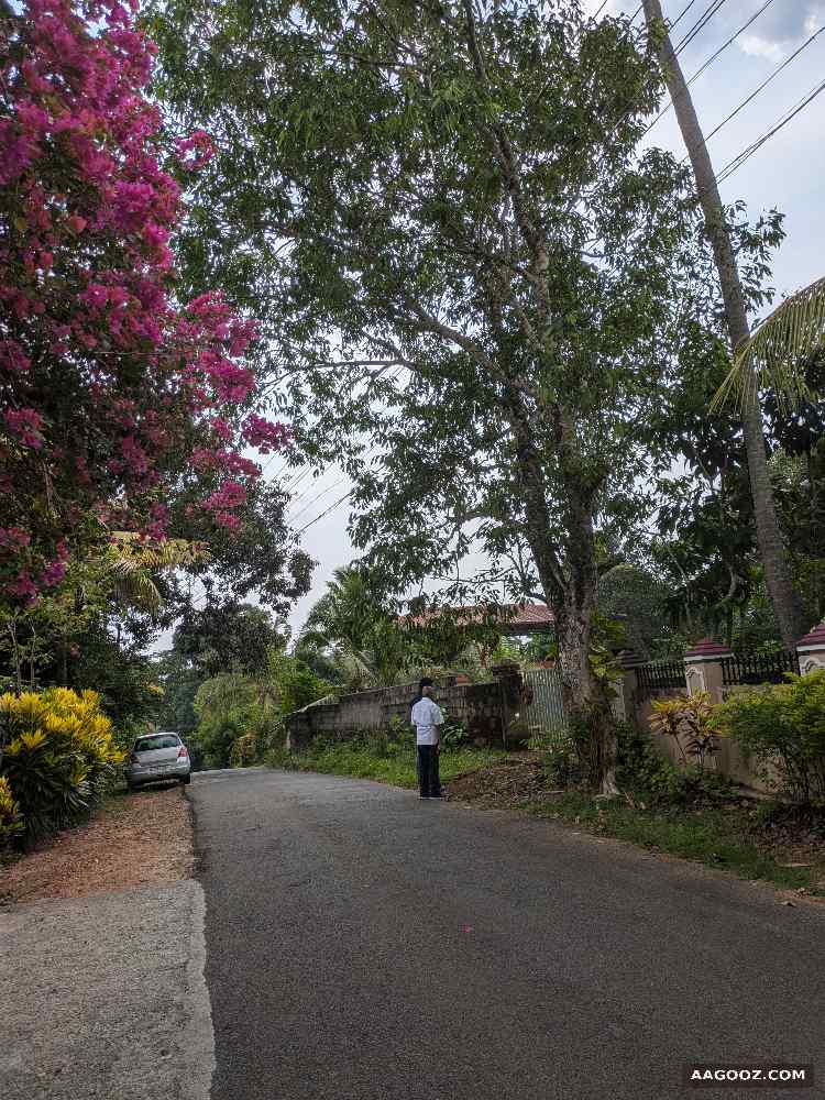 21-Cent-house-plot-for-Sale-near-Kuzhikala-Pathanamthitta