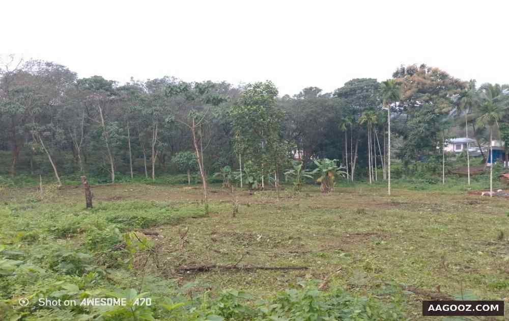 Plot-for-urgent-sale-kannur-Karuvanchal