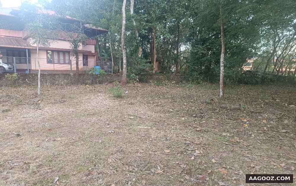 25-cent-plot-for-urgent-sale-Kottayam-Thalayolaparambu
