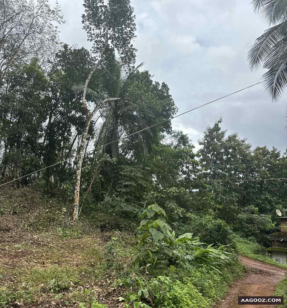 Residential-plot-for-urgent-sale-near-Manjeri-Malappuram