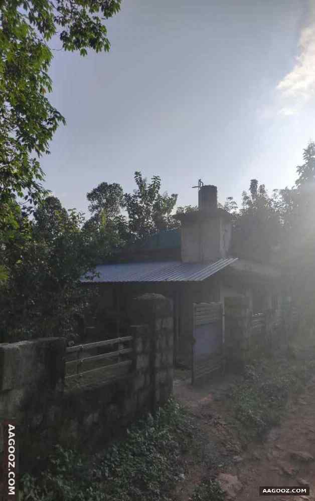 28-cent-land-and-old-house-for-sale-Palakkad-Velikkad