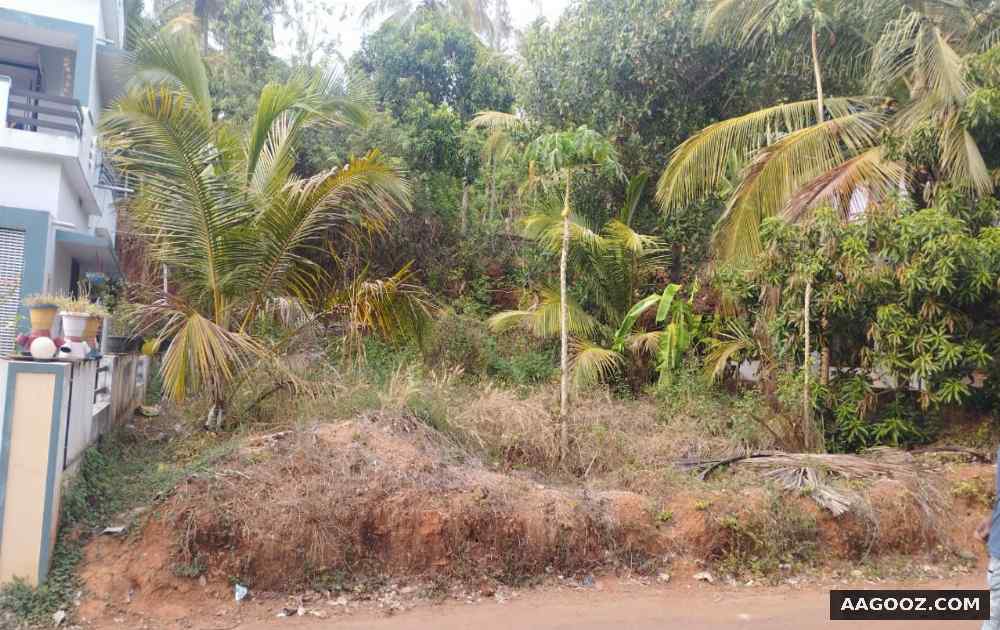 6.2-cent-land-for-sale-Malappuram-Angadipuram