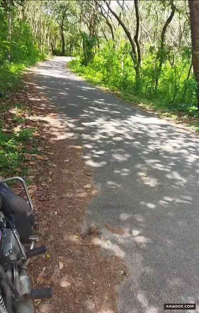 80-cent-plot-for-sale-Nechur-Alathur-Palakkad