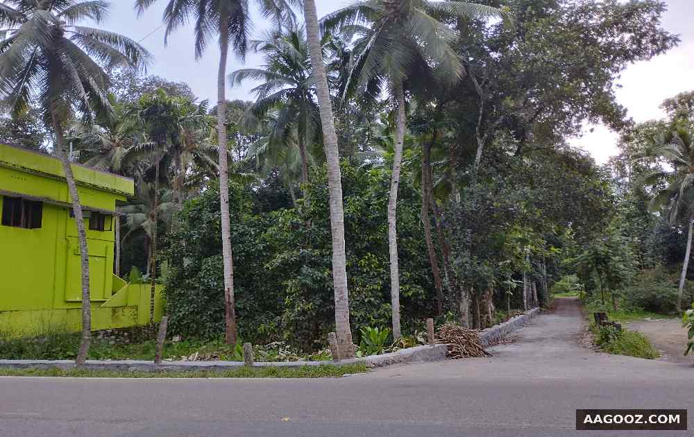8-cent-land-for-urgent-sale-Konni-Pathanamthitta