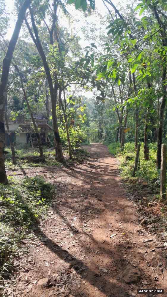 50-cent-land--for-sale-Thempamoodu-Thiruvananthapuram