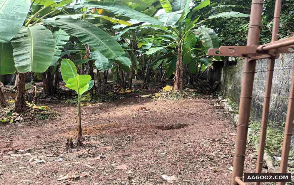 Residential-plot-for-sale-Trivandrum-Thirumala