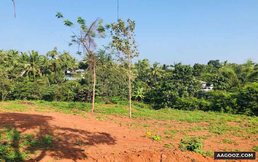 House-plots-for-sale-Malappuram-Manjeri-Pilakkal