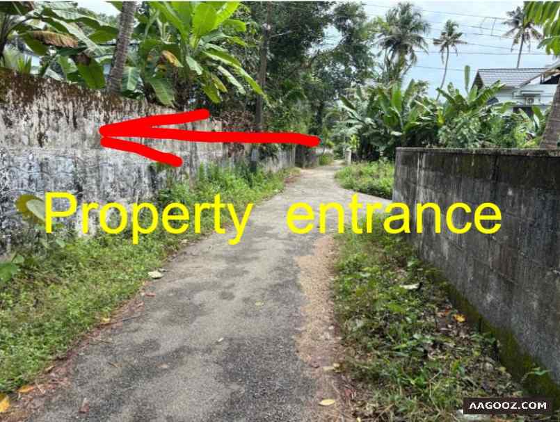 3-cent-land-for-sale-Kollam-Chathannoor
