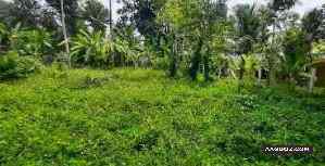 Land-for-sale-Alappuzha-Cheriyanad