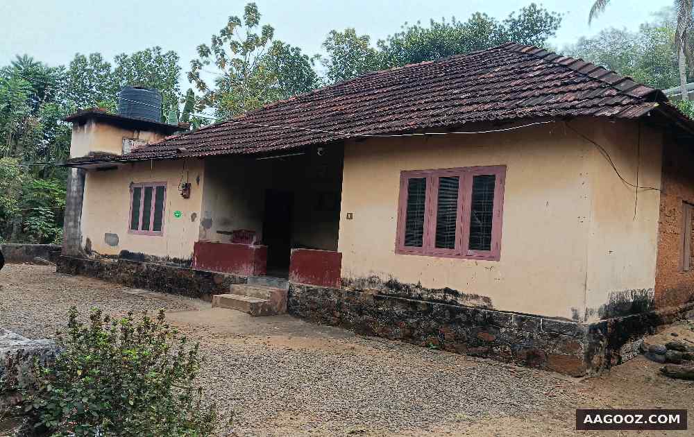 54-cent-and-old-house-for-sale-Maneed-Ernakulam
