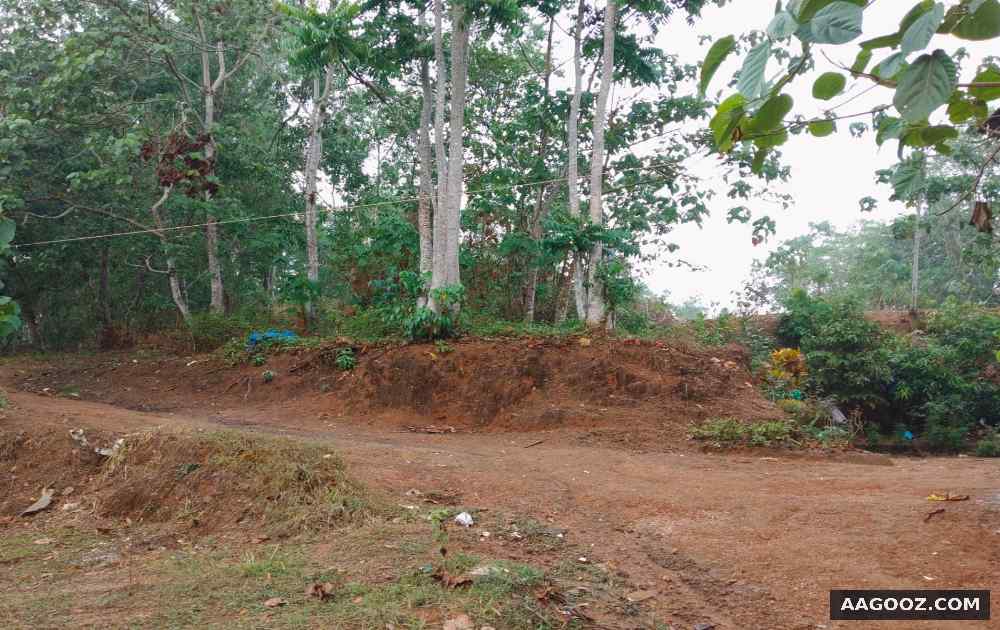 6.5-cent-land-for-sale-in-Vellalloor-Kilimanoor
