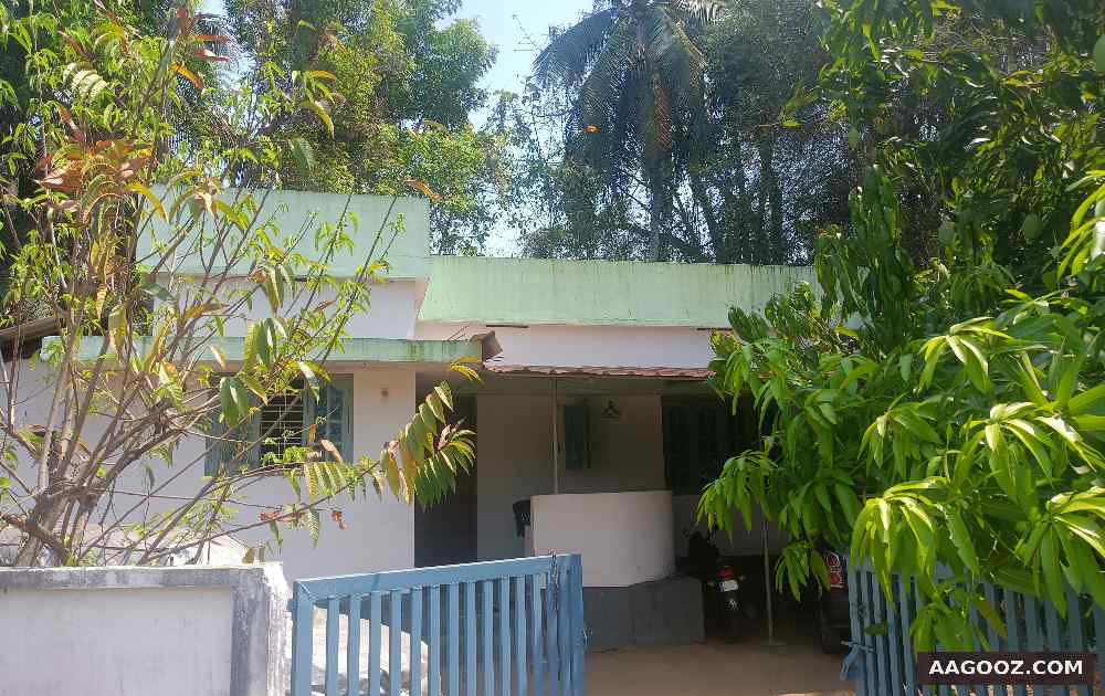 23-cent-land-&-two-house-for-sale-Chittoor-Palakkad