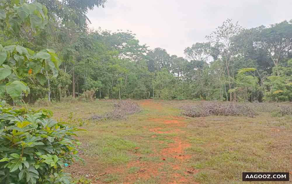 Land-for-sale-Kollam-Kunnathoor