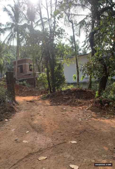 Land-for-sale-in-Naduvannur-Kozhikode