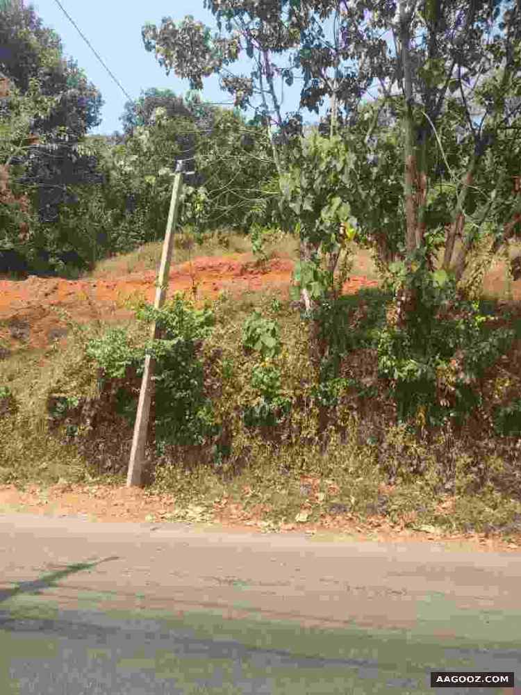 165-cent-land-for-sale-Kottayam-Kollappally