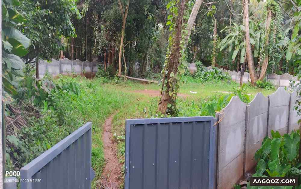 15-cent-land-for-sale-Kozhikode-Kovoor