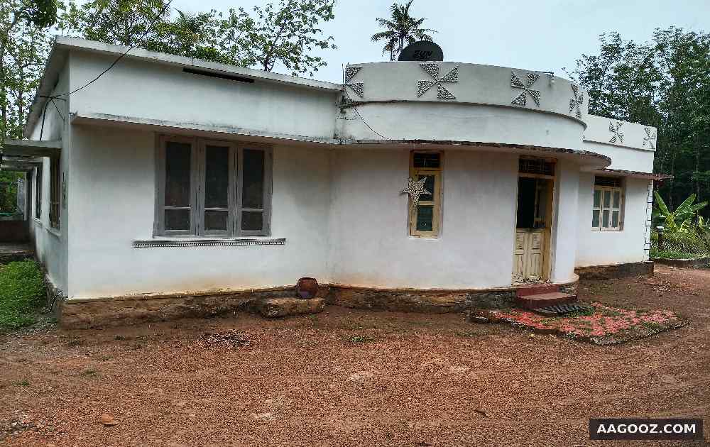 56-cent-land-and-house-for-sale-Kollam-Anchal