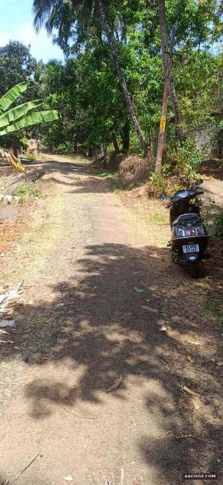 22.5-cent-plot-and-house-for-sale-Thrissur-Nadathara