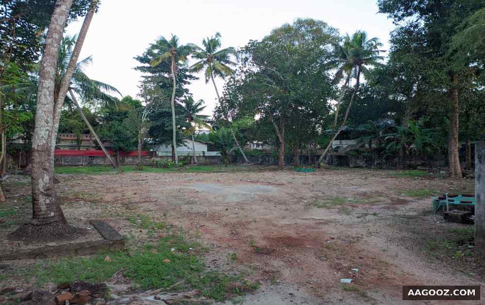 Square-residential-plot-for-sale-in-Alappuzha