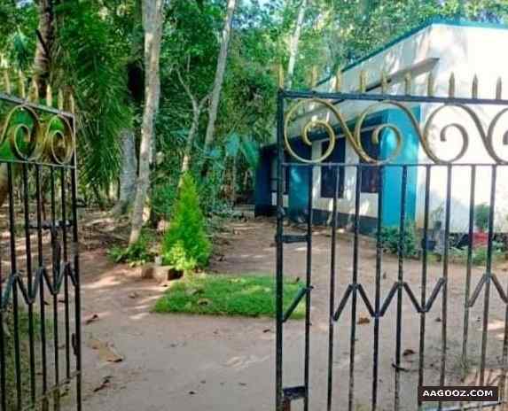 30-cent-land-and-old-house-for-sale-in-Kollam-Chavara