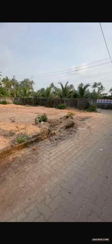 15-Cent-Residential-Plot-for-Sale-in-Panangad,-Ernakulam