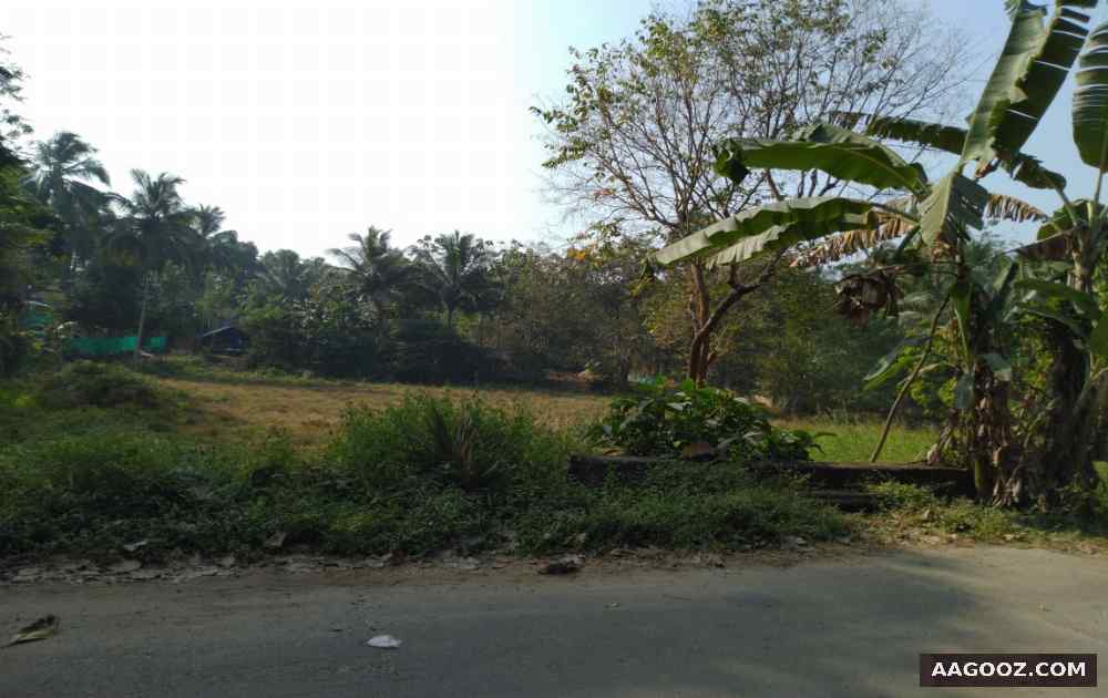 House-Plot-for-Sale-Thrissur-Vadakkethara