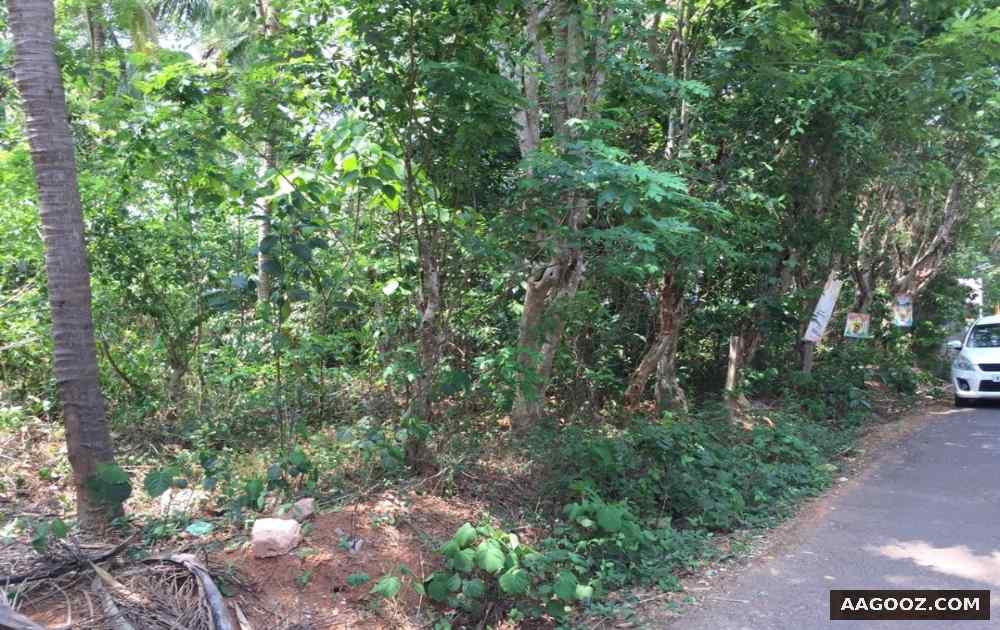 35-cent-plot-for-sale-in-Karikkad-Thrissur
