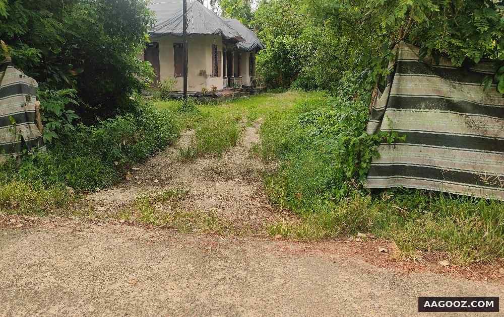 23-cent-land-for-URGENT-sale-Cherthala-Alappuzha